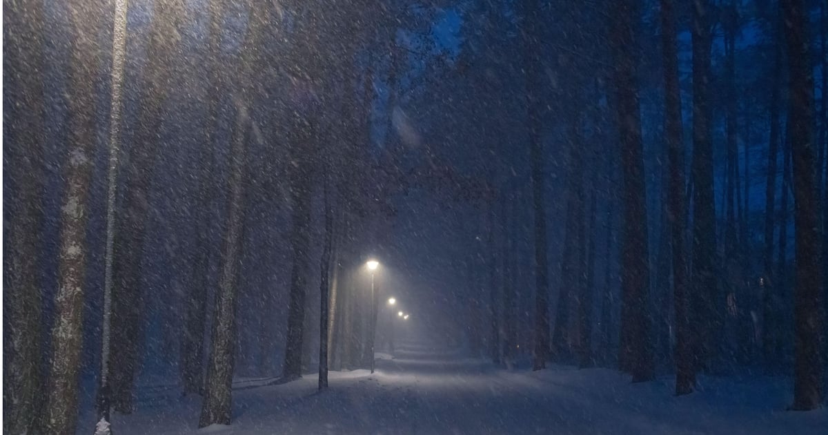 APT28's Forest Blizzard Harvests Credentials Through Compromised SOHO Routers