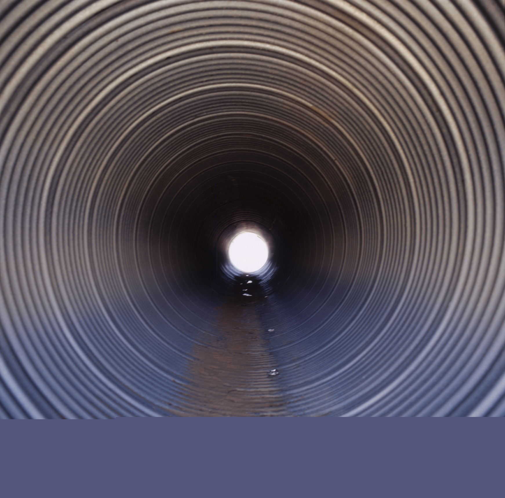 Censys Finds 3,900 US Devices Exposed to Iranian OT Attack Campaign