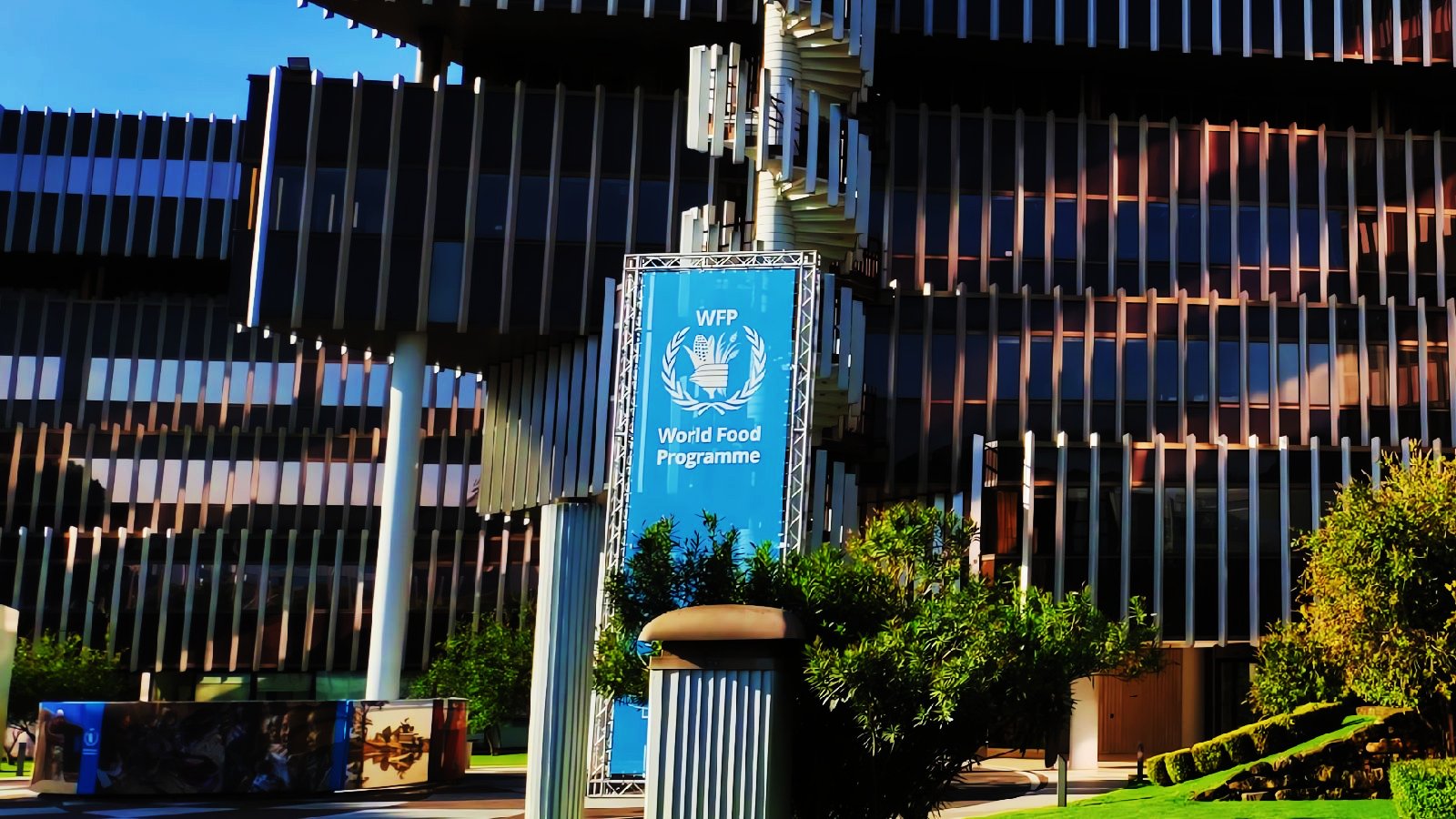 UN World Food Programme Breach Affects 600,000 Gaza Households