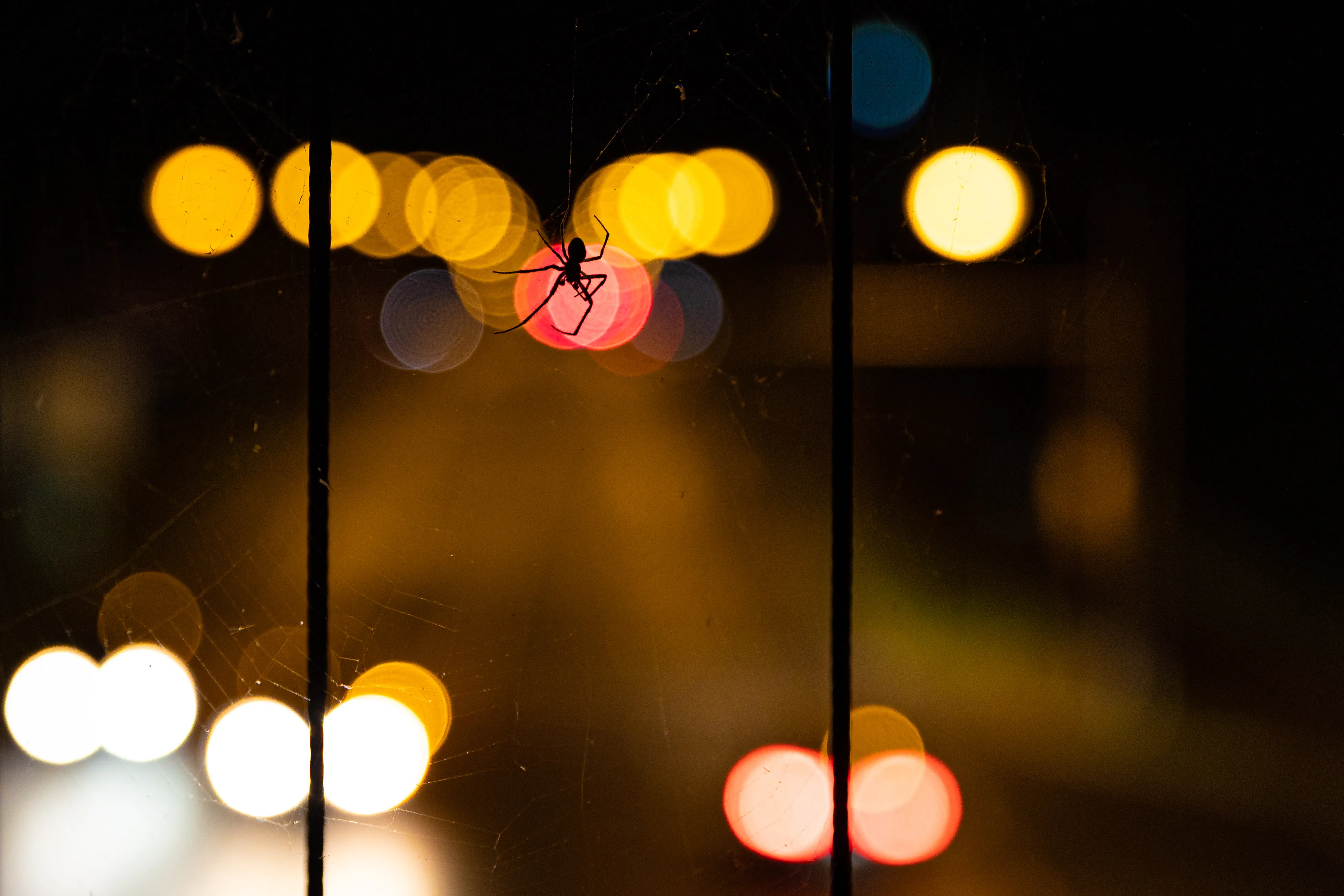 Scattered Spider Leaders Sentenced to 66 Months
