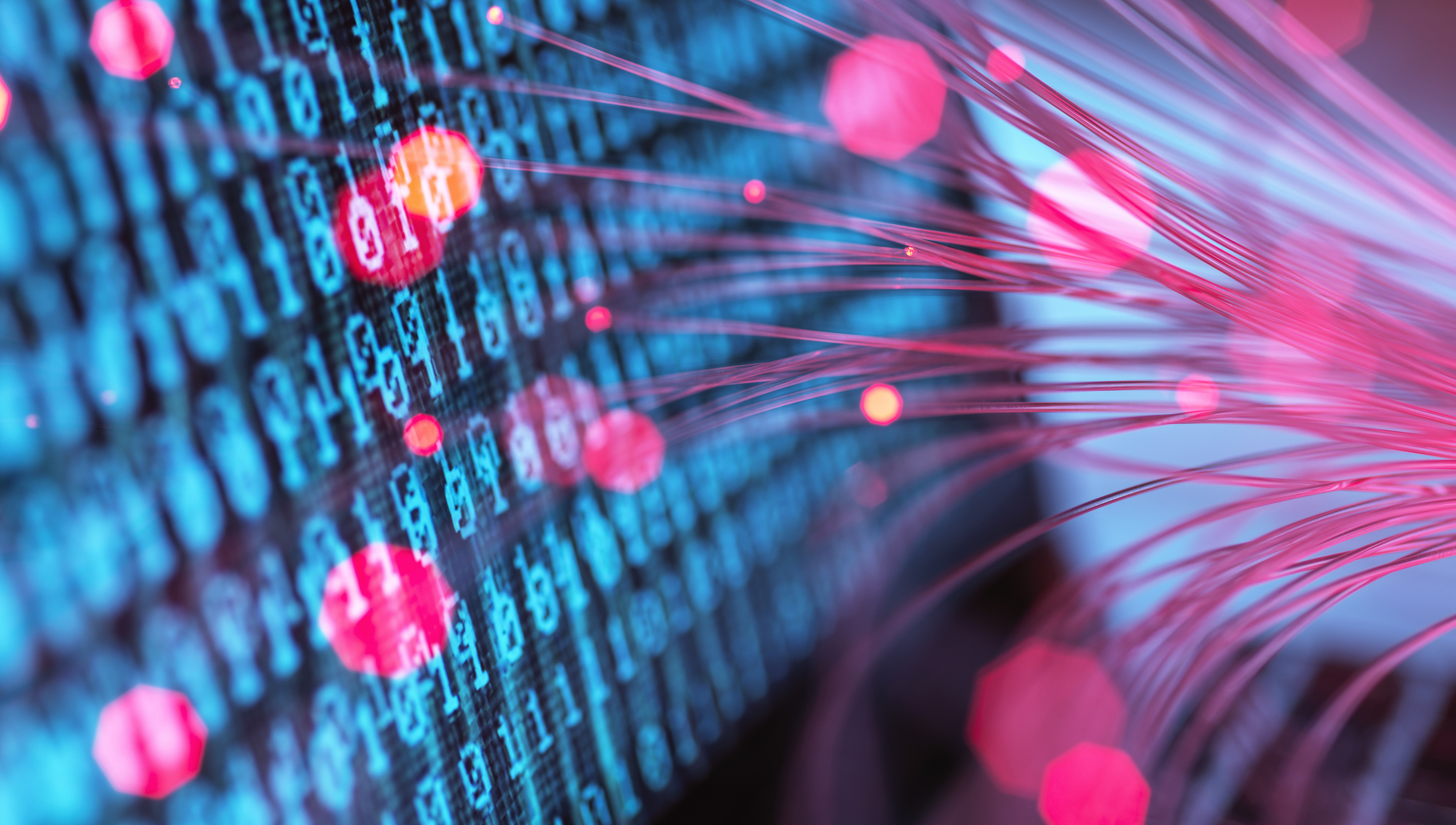 CISA Releases White Paper Outlining Plan to Improve CVE Program Data Quality and Governance