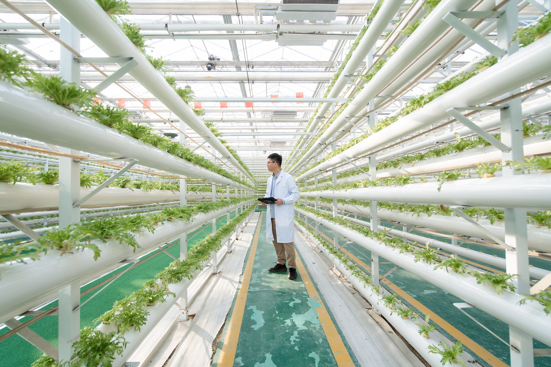 Bipartisan Bills Seek to Strengthen CISA’s Role in Protecting Biotech and Biological Data